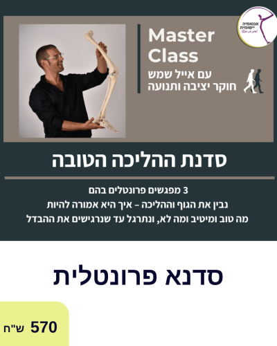 סדנת ההליכה הטובה לאתר